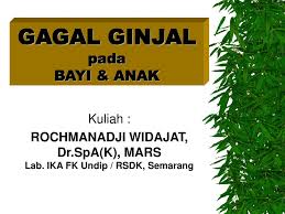 Tatalaksana penyakit ginjal kronik pada anak. Gagal Ginjal Pada Bayi Anak Ppt Download