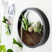 terrarium plante les plus beaux modeles pour votre interieur wand foto wandpflanzen wohnzimmer pflanzen