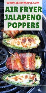 Pin On Air Fryer