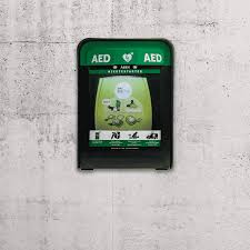 Herefter varmes op til 15 grader inde i skabet. Cabix Udendors Hjertestarterskab Med Overvagning Grat Lifeaid Gor En Forskel