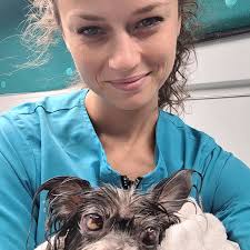 Mobile groomer for senior dogs in Cape Coral