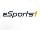 So schlecht wie seit acht jahren nicht mehr! Handballer Im Free Tv Blizzard Events Bei Esports1 Dwdl De
