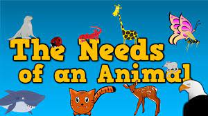 The Needs Of An Animal Song For Kids About 4 Things Animals Need To Survive Kindergarten Science Pets Preschool Animal Science