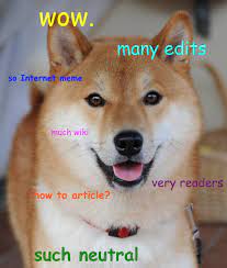Find the best doge meme wallpaper on getwallpapers. Doge Meme Wikipedia