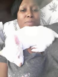 What would you name this Merle long hair chihuahua?