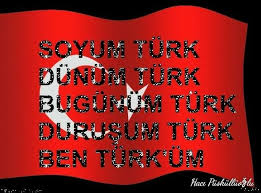 Haci Puskulluoglu Adli Kullanicinin Hedef Kizil Elma Panosundaki Pin Bayrak Gifler Tarih