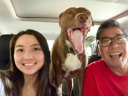 If you don't go, you will never know 🐶