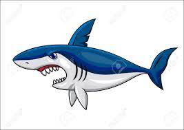 Cute shark cartoon hand drawn style. De Dibujos Animados De Tiburon Enojado Ilustraciones Vectoriales Clip Art Vectorizado Libre De Derechos Image 13396192