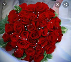 Pin By Safoooo 06 On Blue Flower Wallpaper In 2020 Flowers Dp Flower Images Free Beautiful Flowers Images