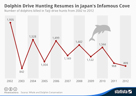 chart dolphin drive hunting resumes in japans infamous