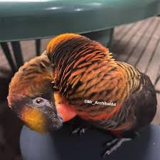 Profile for Mr Archibald