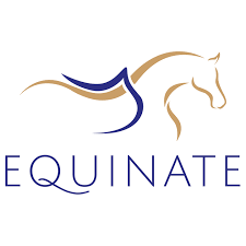 Equinate DE logo