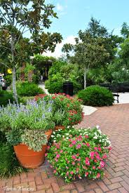 Earth Shattering Gardening Gardening For Beginners Garden Design Organic Gardening