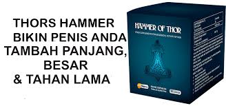 Jual Hammer Of Thor Di Pekanbaru  081339511873 Hammer Pekanbaru   Images?q=tbn:ANd9GcQj96qqneja-sVCfXTIaU4GxQ19aoda9coGP6XqCN2W5XwVx1zTgA