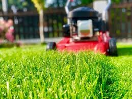 Corn is a tall grass. Lawn Mowing Heights For Buffalo Grass Myhometurf