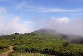 Umbul sidomukti wisata alam yang terletak di lereng gunung ungaran, semarang. Pos Mawar Kebun Kopi Kebun Teh Promasan Umbul Sidomukti Jejak Si Olipe