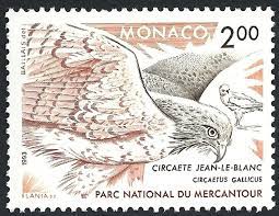 pin by jean dwulit on monkeys the wild stamp printing stamp vintage stamps