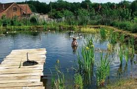 It was a little rocky, and waves frequently went into the pool, but if you can swim well it was no problem. The Ecological And Health Benefits Of Natural Swimming Pools Permaculture Magazine