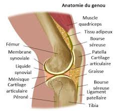 L'infiltration du genou est un geste médical, généralement préconisé en cas d'arthrose. Des Infiltrations Pour L Arthrose Du Genou Reflexologie Sante