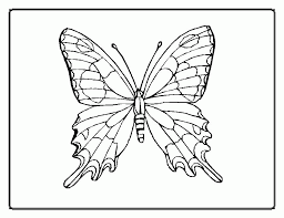 Check spelling or type a new query. Coral Reef Coloring Pictures Coloring Home