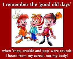 Done right, company slogans become as integral to the brand as the logo and brand name. Snap Crackle Pop The Good Old Days Good Old Funny Quotes