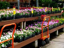Your lowe's advantage credit card or lowe's visa® rewards card is. The Best The Home Depot Shopping Hack Revealed The Home Depot Plant Return Policy