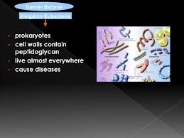 What Can This Old Tale Have To Do With Bacteria Ppt Download
