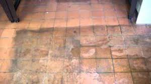 Maybe you would like to learn more about one of these? Terracotta Floor Tile Cleaning Youtube