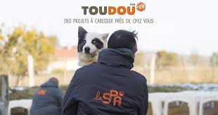 We did not find results for: Rapprochez Vous Des Animaux En Financant Des Projets Locaux Toudou Par La Spa Des Projets A Caresser Pres De Chez Vous
