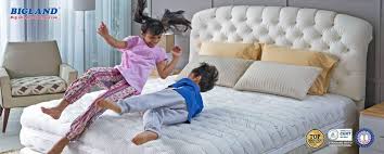 Beli spring bed bigland online berkualitas dengan harga murah terbaru 2021 di tokopedia! Bigland Website The Pioneer Of Fashionable Springbed