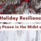 Holiday Resilience Free Workshops event image