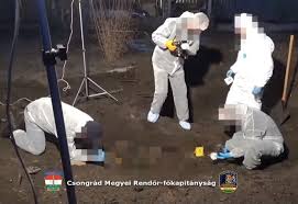 Kettős gyilkosság történt szegeden vasárnap. Kerti Partikat Is Rendezett Volt Baratnoje Holtteste Felett A Szegedi Gyilkos No Szmo Hu