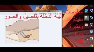 نصائح و إرشادات لم تكن تعرفها عن ليلة الدخلة للمقبلين على الزواج Youtube