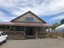 Manage and improve your online marketing. Eat First Crazy Daisies And The Garden Cafe At Crazy Daisies