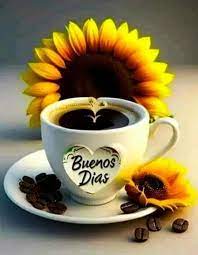 Buenos días ????