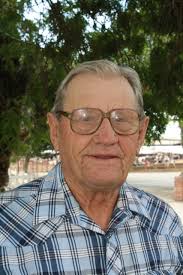 What the Friesian Means to Me-Frank Leyendekker