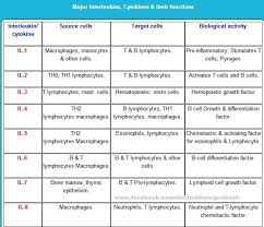 Major Interleukins Cytokins And Their Functions Part 1