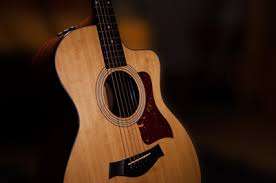 Why I Purchased A Zager Guitar. - Kindle Edition By Wkl. Arts & Photography  Kindle Ebooks @ Amazon.Com.