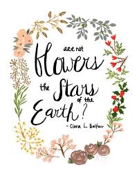 Usually a person without a permanent home who goes from place to place. 120 Wildflower Ideas In 2021 Flower Quotes Wild Flower Quotes Quotes