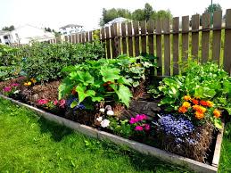 So what is tilling good for? Diy Gardening Better Living No Till No Dig Gardening The Secrets Of Straw