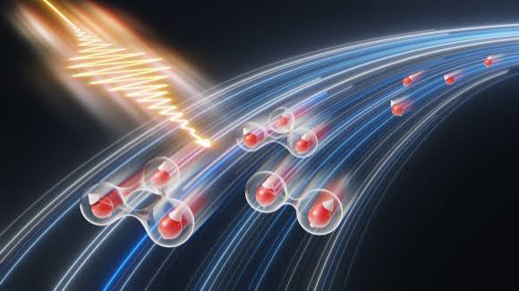 Quantum Many-Body Dynamics