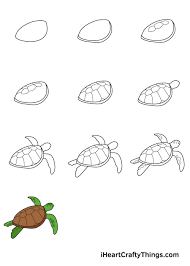 Sea Turtle Drawing - How To Draw A Sea Turtle Step By Step