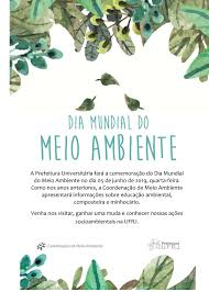 Seguimos em defesa do meio ambiente e da vida do povo brasileiro! Dia Mundial Do Meio Ambiente Instituto De Geociencias Igeo