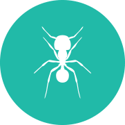 Contact youngs pest control for safe and healthy pest management service in your area. Pest Control Exterminator In Roanoke Va Cheryl S Pest Defense Llc