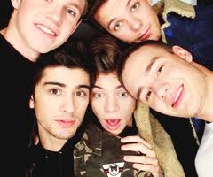 We're like na na na;we are Directioners