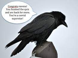 What is raven's real name? Corvid Trivia Quiz