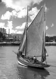 Petit Dundee De Royan Bateau En Bois Voiles Et Voiliers Voilier Bois