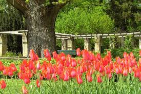 1 bis 25 von 70 adressen zu garten und landschaftsbau in bamberg mit telefonnummer, öffnungszeiten und bewertung gefunden. Was Wachst Denn Da Im Botanischen Garten