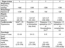 Sofa Score Table Sofa Anatomy Images Organ System