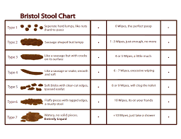 Bristols Stool Chart Stool Stackable Chairs Home Hacks